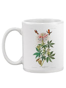 Ruff-Necked Hummingbird Mug -John James Audubon Designs