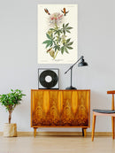 Ruff-necked Hummingbirds Wall Art -John James Audubon Designs