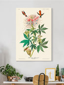 Ruff-necked Hummingbirds Wall Art -John James Audubon Designs