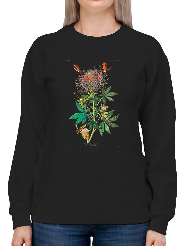 Ruff-Necked Hummingbirds. Sweatshirt -John James Audubon Designs