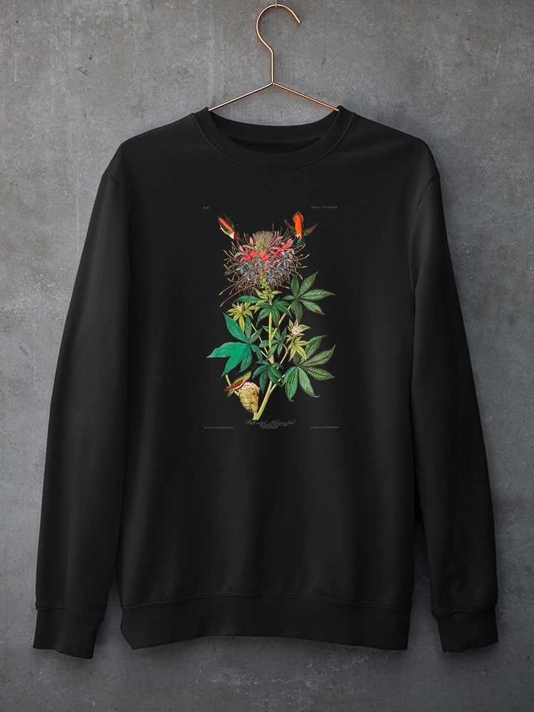 Ruff-Necked Hummingbirds. Sweatshirt -John James Audubon Designs