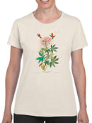 Ruff-Necked Hummingbird T-shirt -John James Audubon Designs