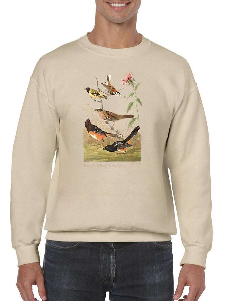 Chestnut Coloured Finch. Sweatshirt -John James Audubon Designs