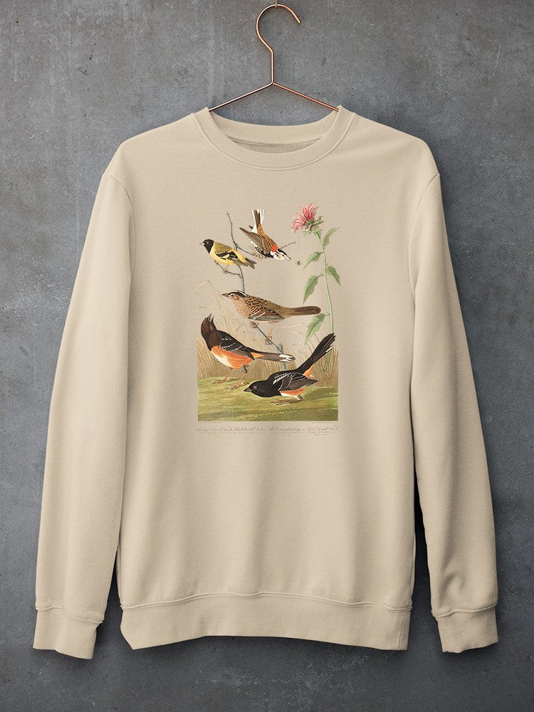 Chestnut Coloured Finch. Sweatshirt -John James Audubon Designs