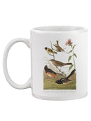 Chestnut Coloured Finches Mug -John James Audubon Designs