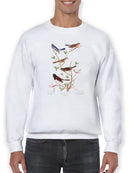Lazuli Finch. Sweatshirt -John James Audubon Designs