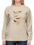 Lazuli Finch. Sweatshirt -John James Audubon Designs