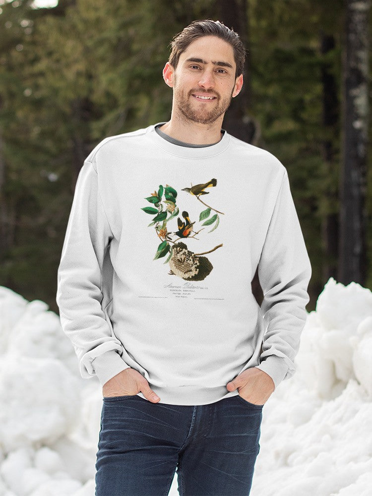 American Redstart. Sweatshirt -John James Audubon Designs