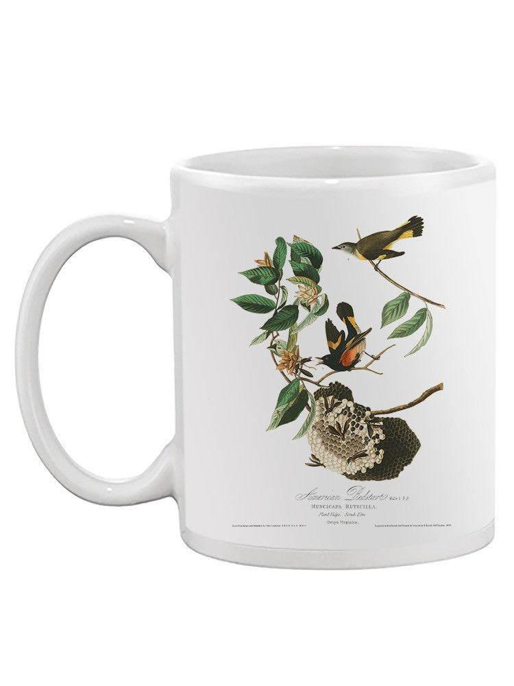 American Redstart Birds Mug -John James Audubon Designs