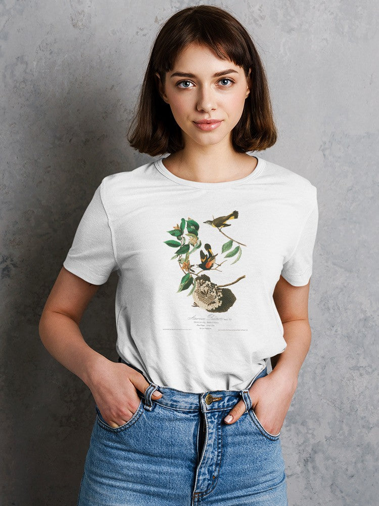 American Redstart Birds T-shirt -John James Audubon Designs