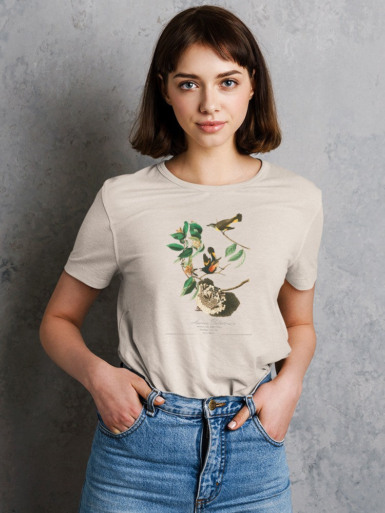 American Redstart Birds T-shirt -John James Audubon Designs