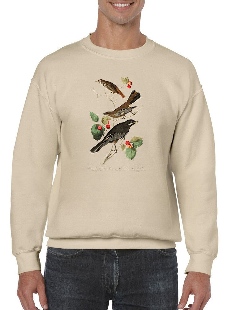 Little Tawny Thrush. Sweatshirt -John James Audubon Designs