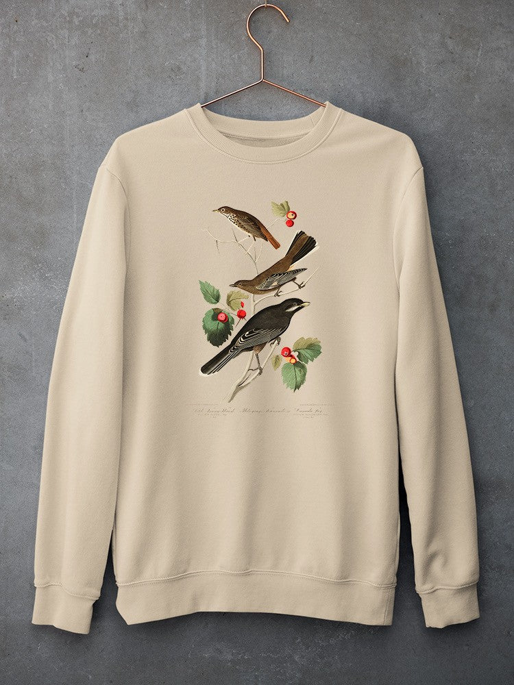 Little Tawny Thrush. Sweatshirt -John James Audubon Designs