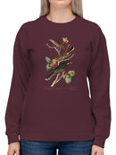 Little Tawny Thrush. Sweatshirt -John James Audubon Designs