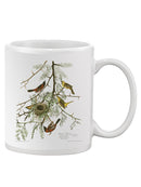 An Orchard Oriole. Mug -John James Audubon Designs