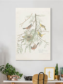 Orchard Oriole Wall Art -John James Audubon Designs