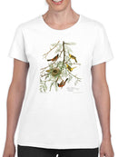 An Orchard Oriole. T-shirt -John James Audubon Designs