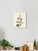Columbian Hummingbird Wall Art -John James Audubon Designs