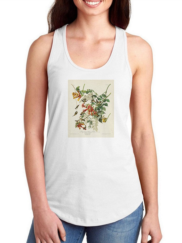 Ruby-throated Hummingbird T-shirt -John James Audubon Designs