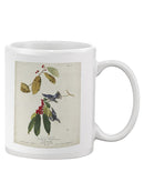 Cerulean Warbler Mug -John James Audubon Designs