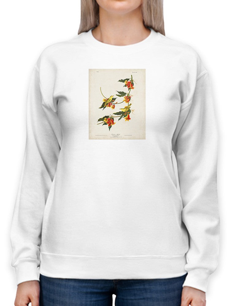 Rathbone Warbler Sweatshirt -John James Audubon Designs