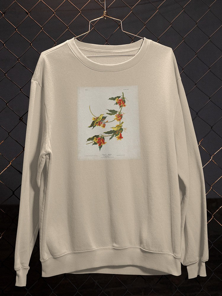 Rathbone Warbler Sweatshirt -John James Audubon Designs