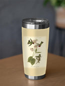 Small Anna Hummingbird Tumbler -John James Audubon Designs