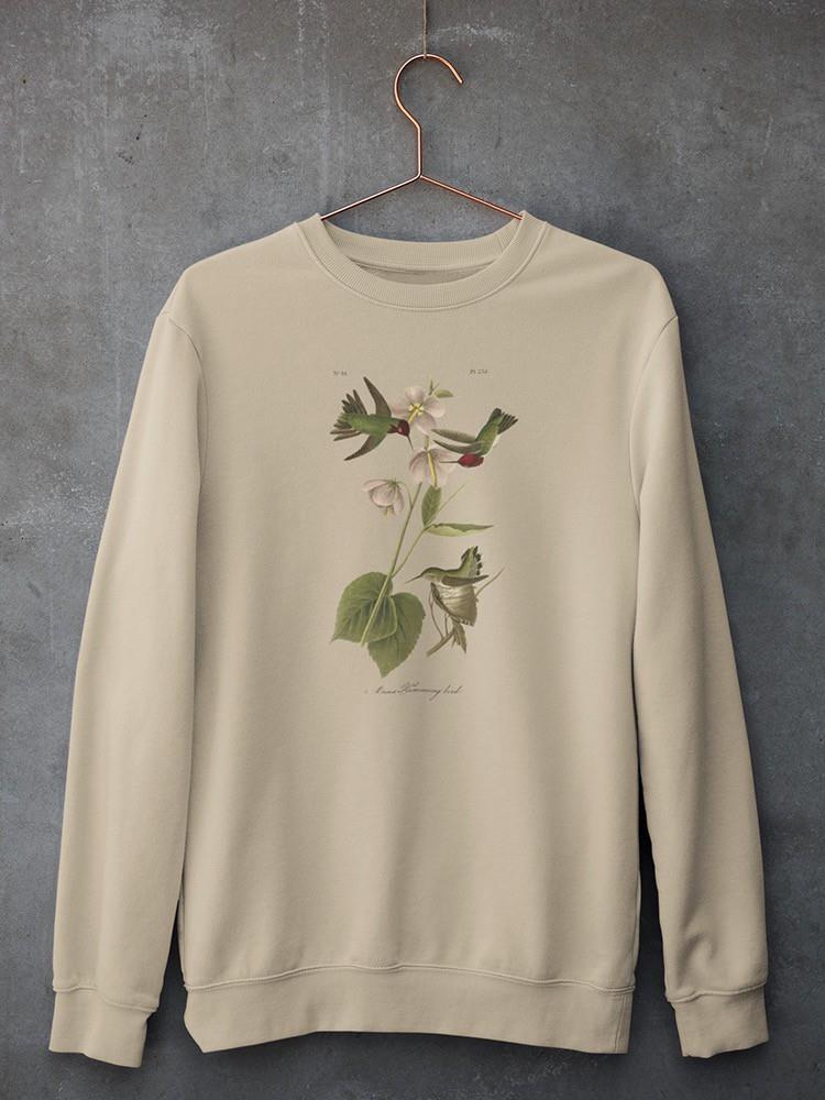 Small Anna Hummingbird Sweatshirt -John James Audubon Designs