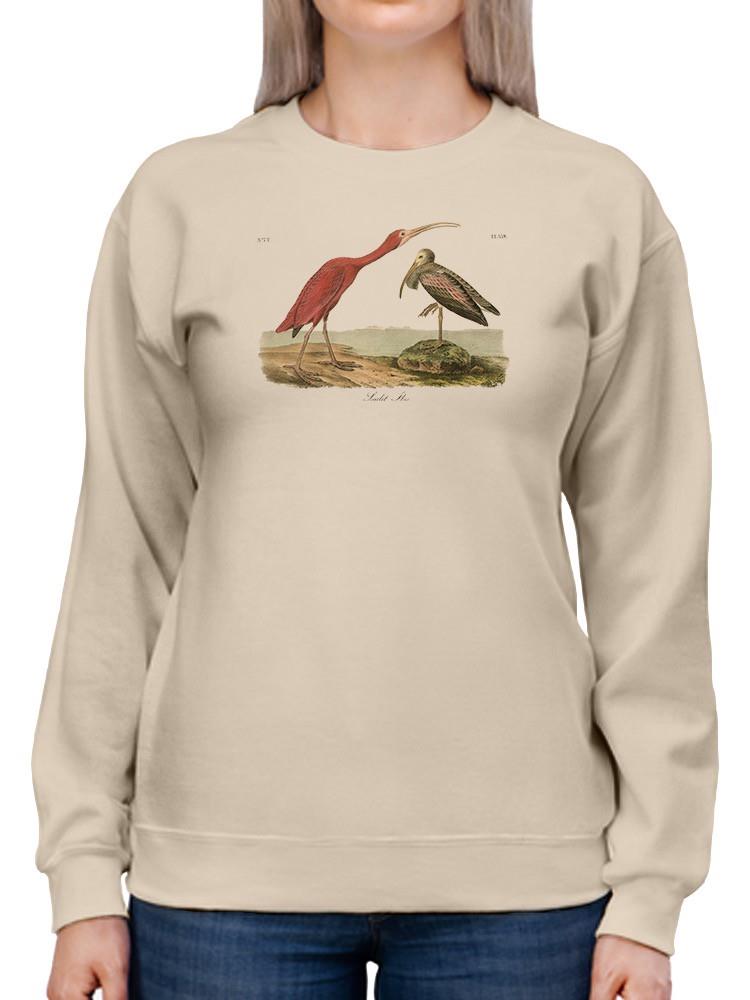 Scarlet Ibis Sweatshirt -John James Audubon Designs