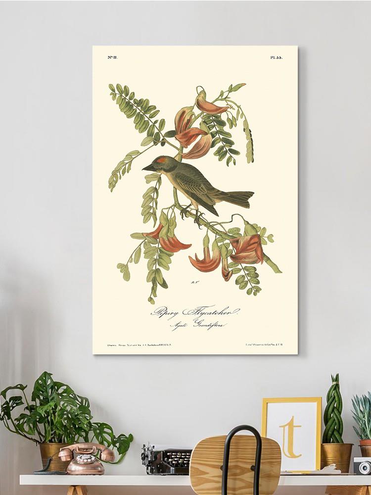Pipiry Flycatcher Wall Art -John James Audubon Designs