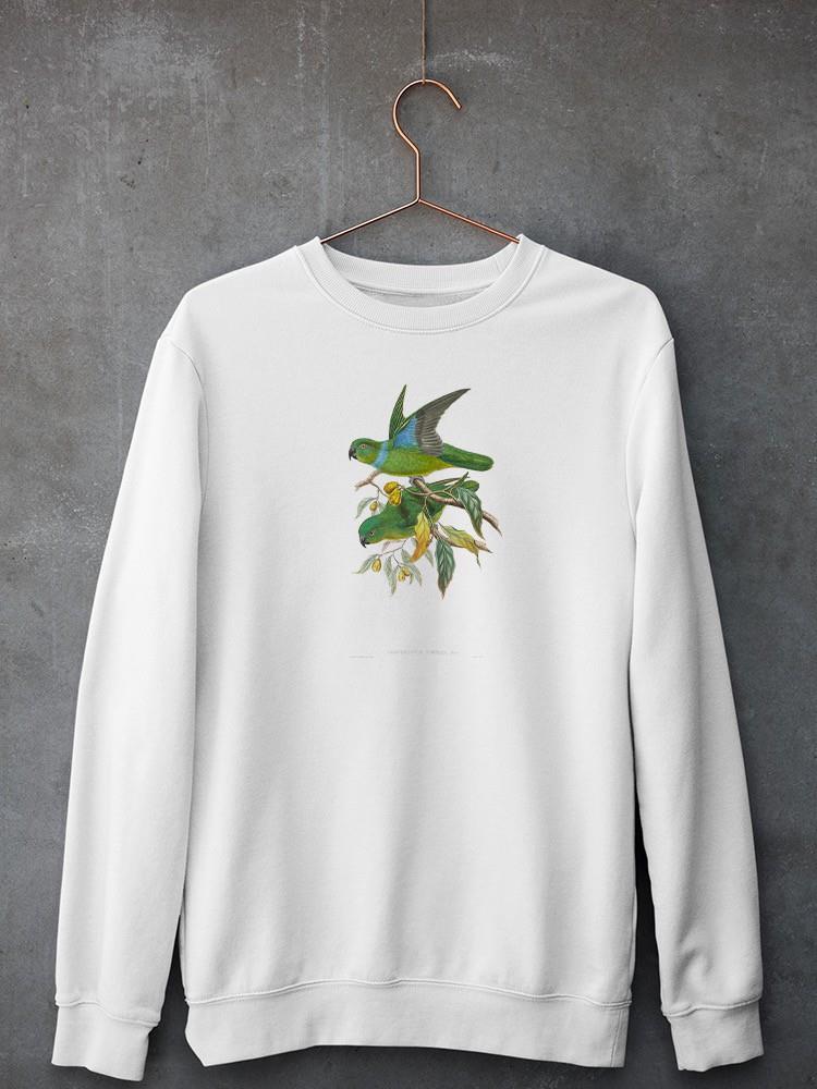Lime And Cerulean Parrots Ii. Sweatshirt -John Gould Designs