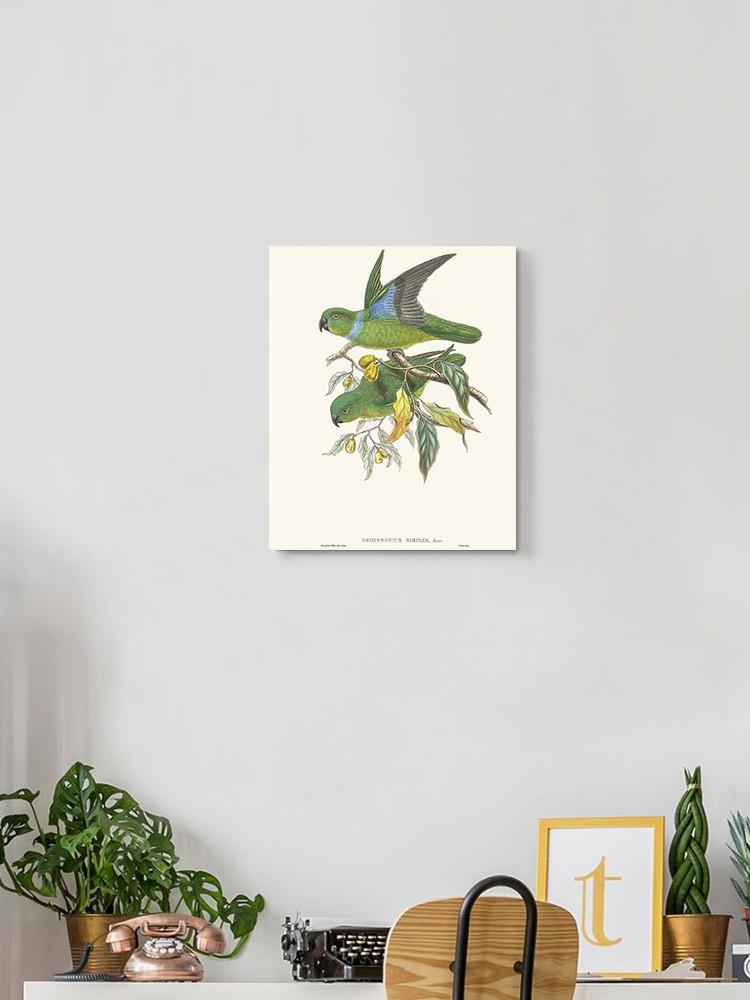 Lime & Cerulean Parrots Ii Wall Art -John Gould Designs