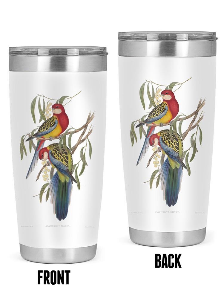 Tropical Parrots Iv Tumbler -John Gould Designs