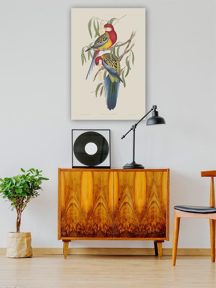 Tropical Parrots Iv Wall Art -John Gould Designs