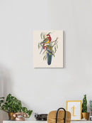 Tropical Parrots Iv Wall Art -John Gould Designs
