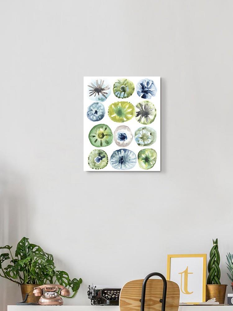 Sea Urchin Assortment I Wall Art -June Erica Vess Designs