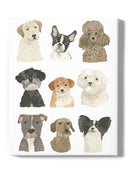 Doggos And Puppers Ii. Wall Art -June Erica Vess Designs