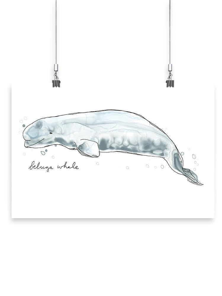 Cetacea Beluga. Whale Wall Art -June Erica Vess Designs