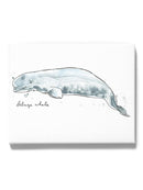 Cetacea Beluga. Whale Wall Art -June Erica Vess Designs