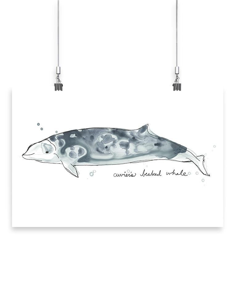 Cetacea Cuviers Beaked. Whale Wall Art -June Erica Vess Designs