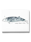 Cetacea Cuviers Beaked. Whale Wall Art -June Erica Vess Designs