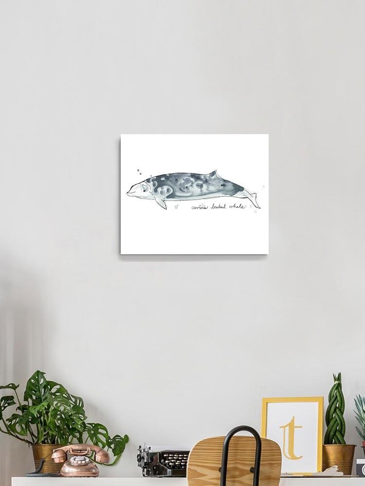 Cetacea Cuviers Beaked. Whale Wall Art -June Erica Vess Designs