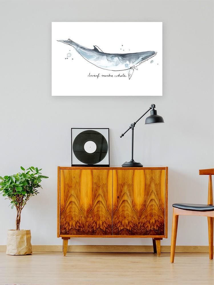 Cetacea Dwarf Minke. Whale Wall Art -June Erica Vess Designs