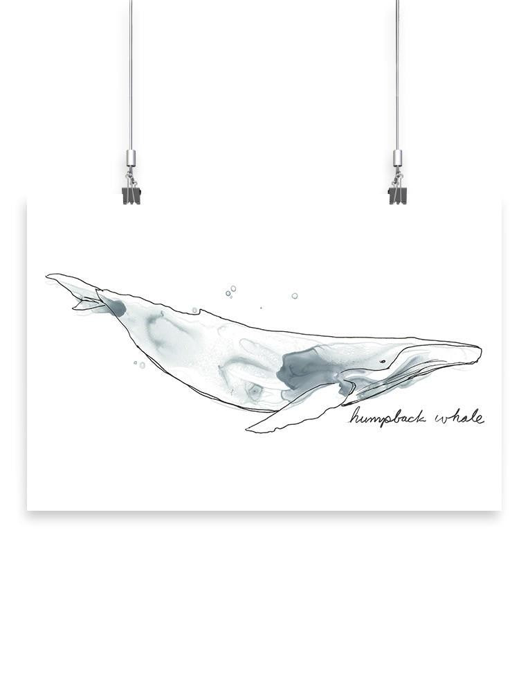 Cetacea Humpback Whale Wall Art -June Erica Vess Designs