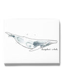 Cetacea Humpback Whale Wall Art -June Erica Vess Designs