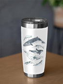 Cetacea. I Tumbler -June Erica Vess Designs