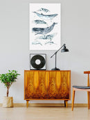 Cetacea Ii. Wall Art -June Erica Vess Designs