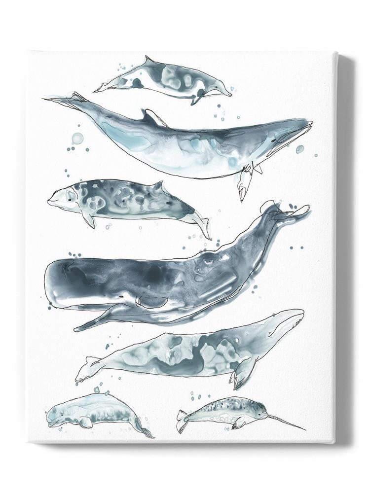 Cetacea Ii. Wall Art -June Erica Vess Designs