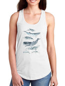 Cetacea Ii T-shirt -June Erica Vess Designs