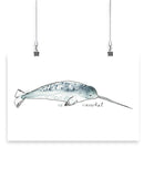 Cetacea Narwhal. Wall Art -June Erica Vess Designs